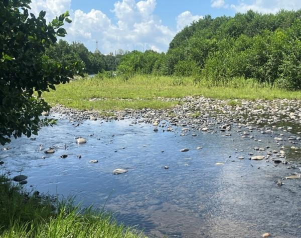 Stream and a grass area with trees in the background.