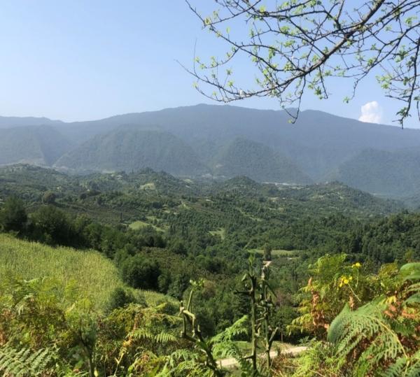 View from a higher ground onto forest and field areas between mountains.