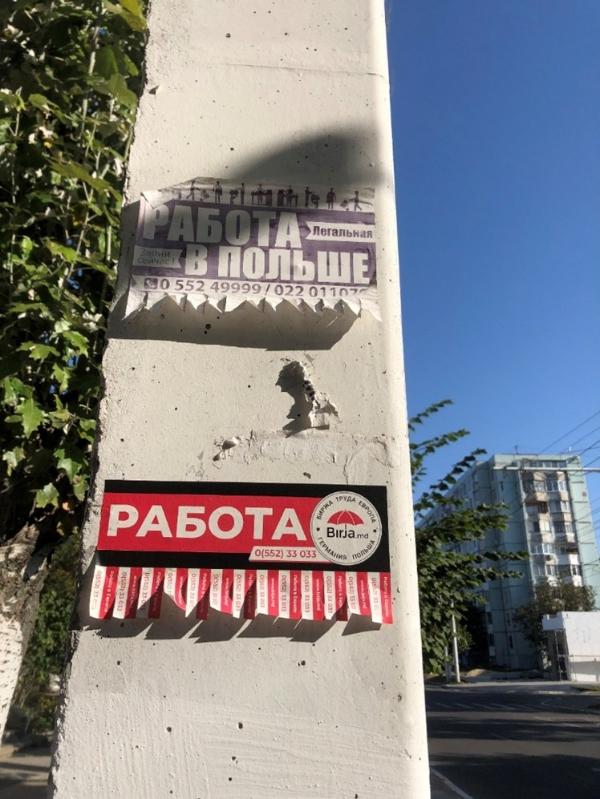 Work advertisements with cut-off phone numbers posted on a column.