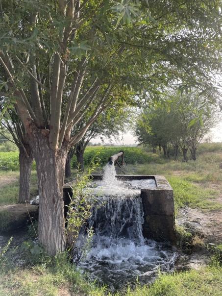 Irrigation pipe flowing into a well.